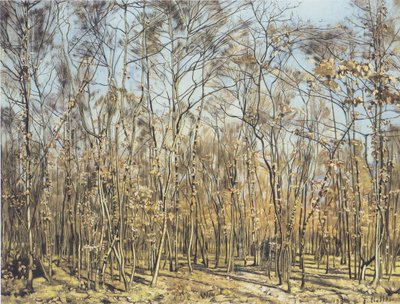 The Beech Forest by Ferdinand Hodler